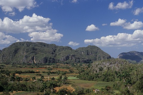 展望台からの風景